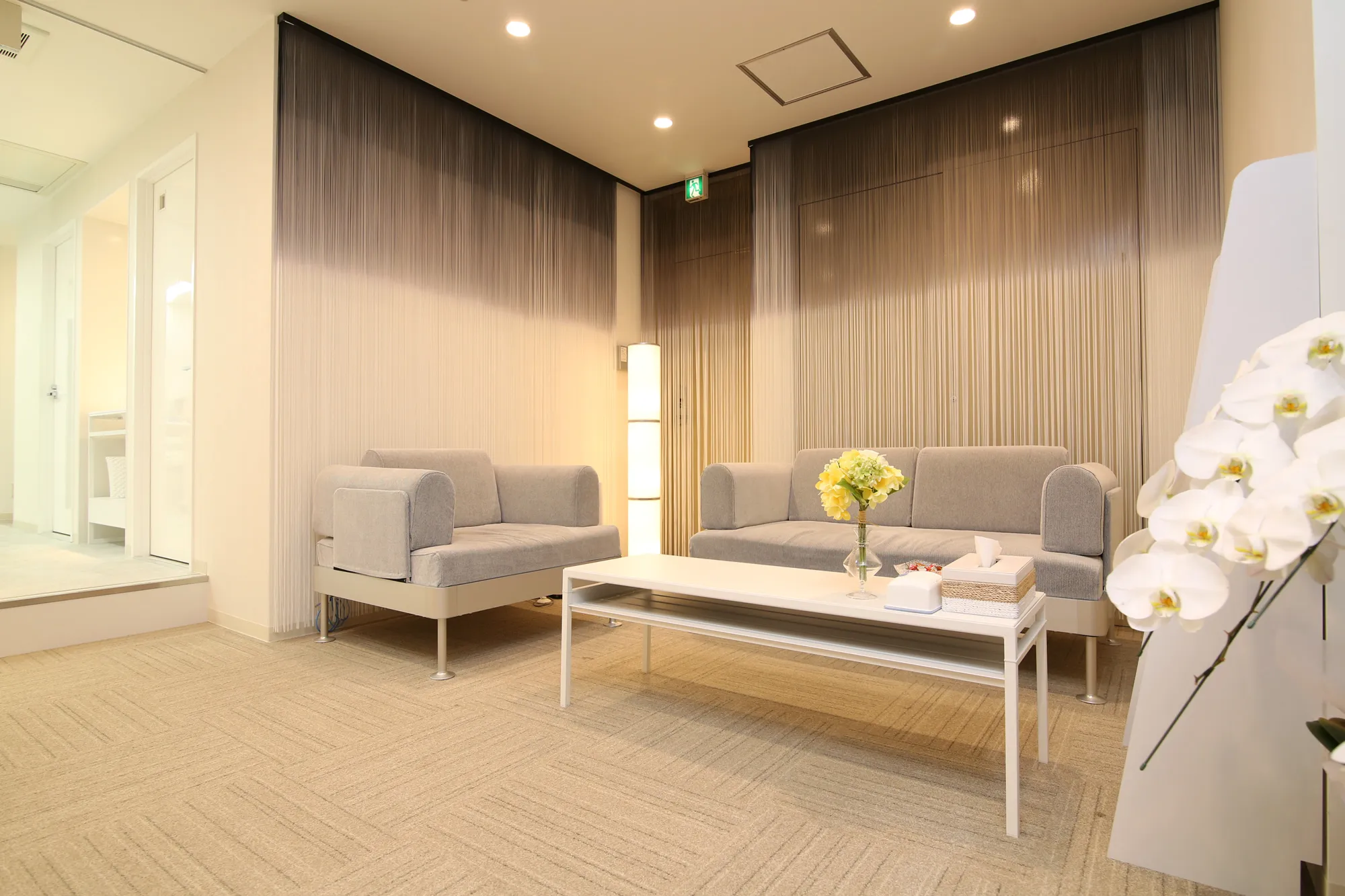 検査・治療計画の説明