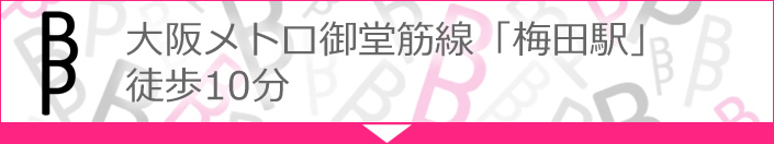 大阪メトロ御堂筋線「梅田駅」 徒歩10分