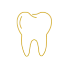 臼歯は前歯から数えて4番目以降の歯です
